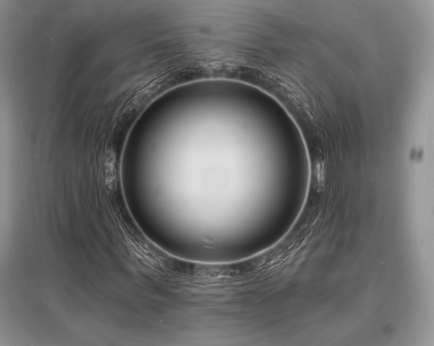 X0000096390963200801241258