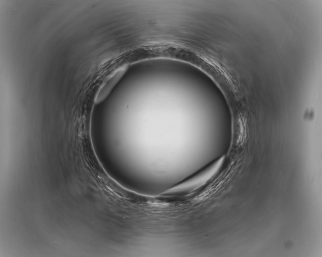 X0000096390965200801241258