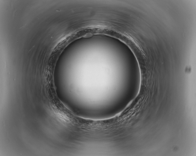 X0000096390967200801241258