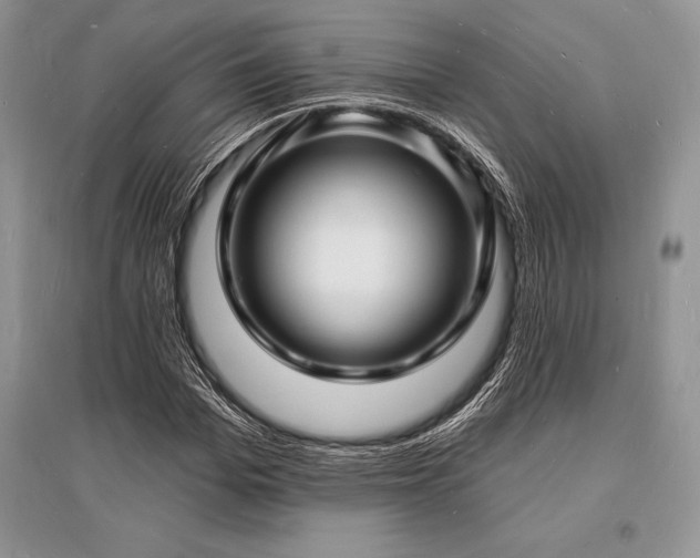 X0000096390969200801241258