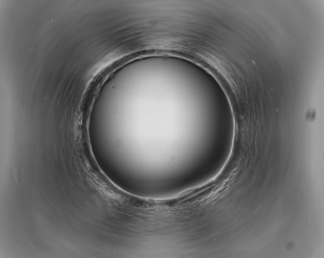 X0000096390971200801241258