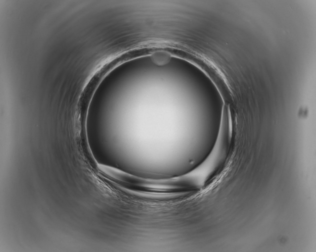X0000096390973200801241258