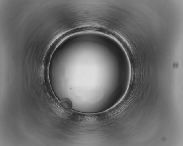 X0000096390975200801241258