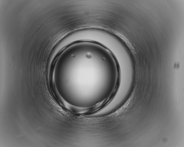 X0000096390977200801241258