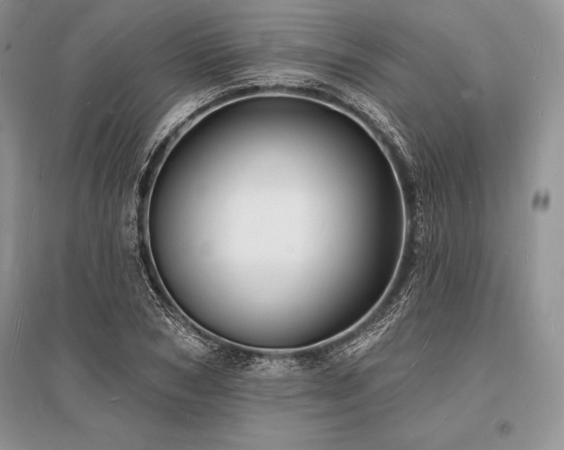 X0000096390978200801241258