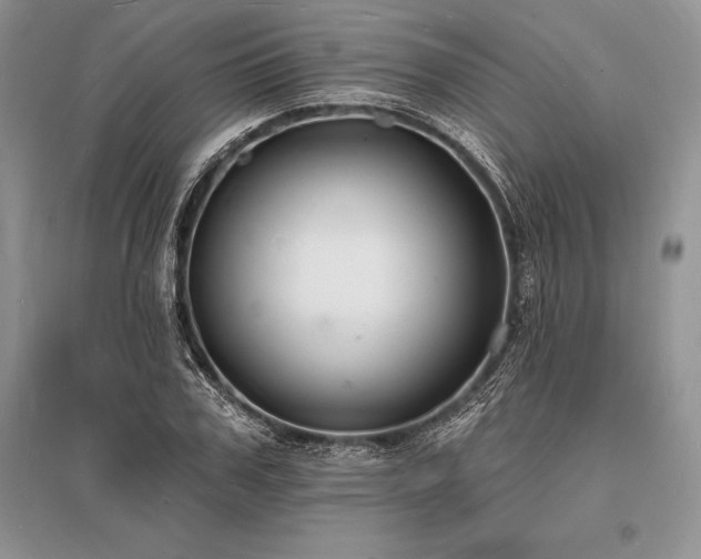X0000096390979200801241258