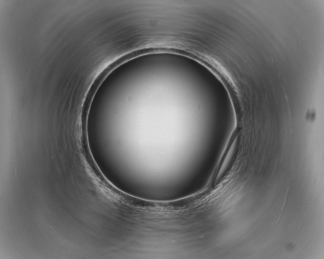 X0000096390980200801241258