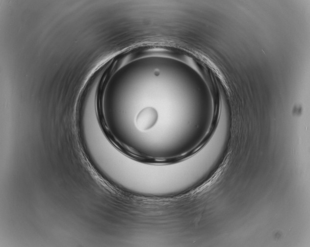 X0000096390981200801241258