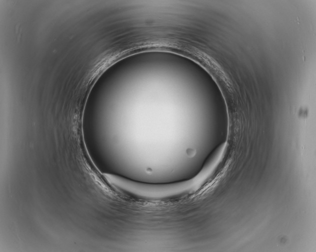 X0000096390985200801241258