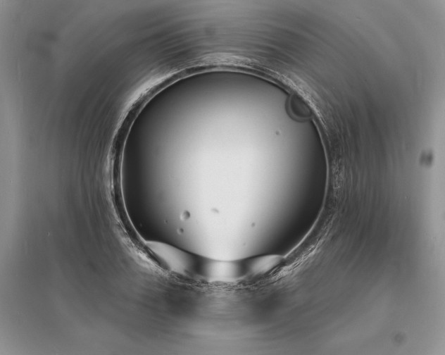 X0000096390987200801241258