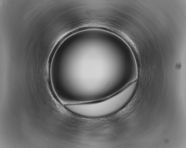 X0000096390988200801241258
