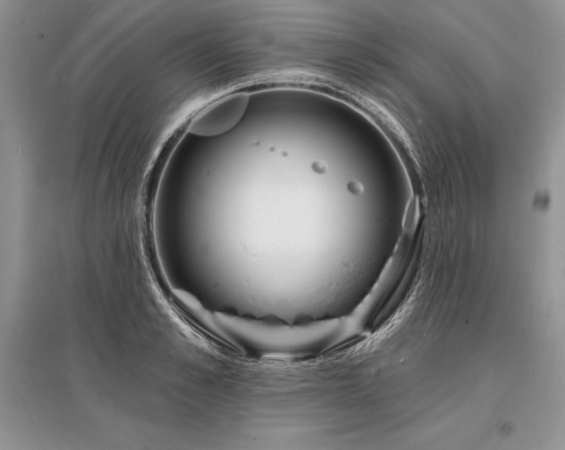 X0000096390989200801241258