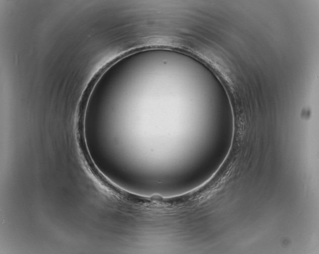 X0000096390991200801241258