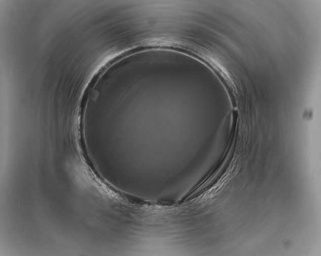 X0000096390992200801241258