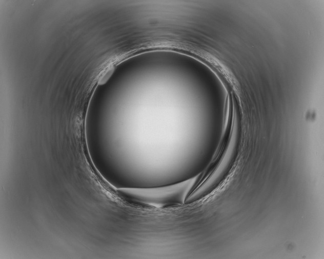 X0000096390993200801241258