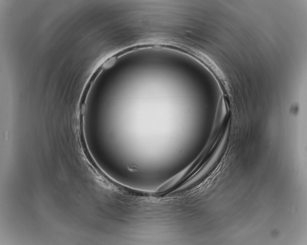 X0000096390996200801241258