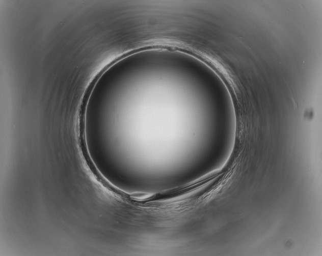 X0000096390999200801241257