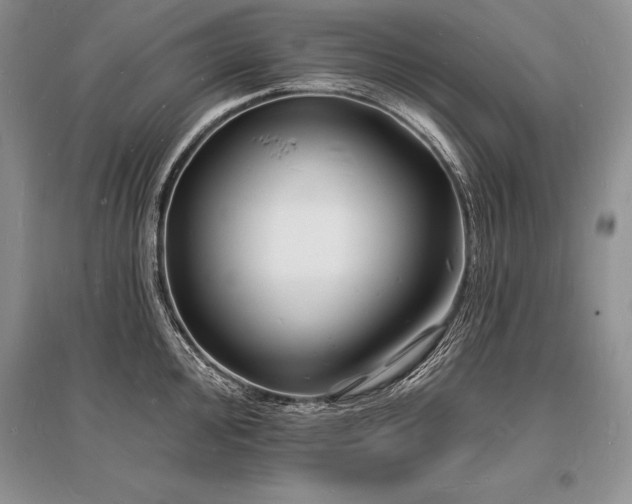 X0000096391000200801241257