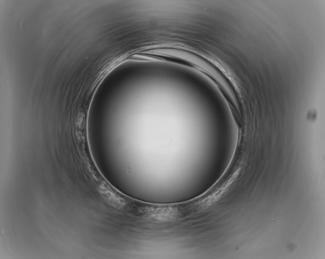 X0000096391001200801241257