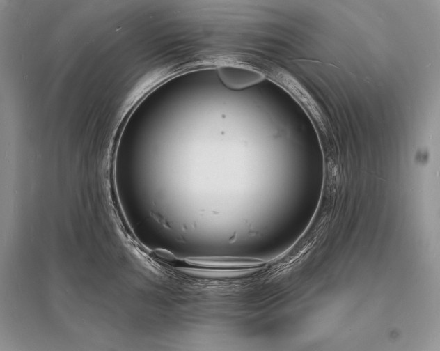 X0000096391002200801241257