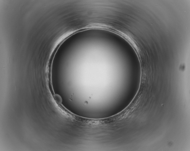 X0000096391003200801241257