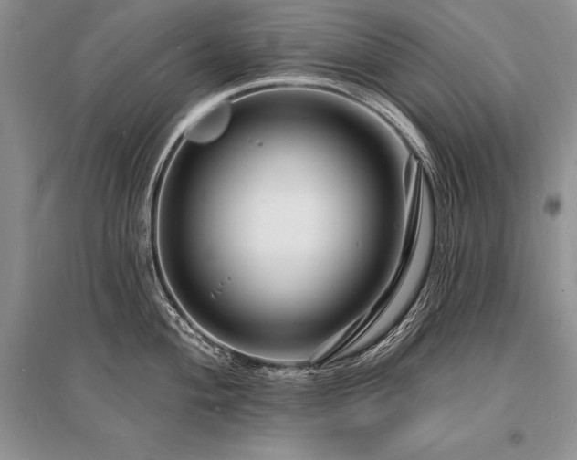 X0000096391004200801241257