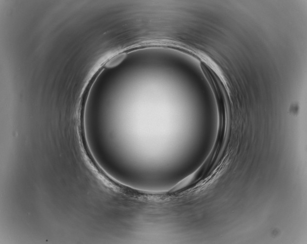 X0000096391005200801241257