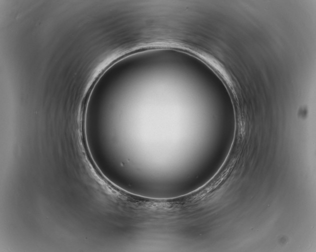 X0000096391006200801241257