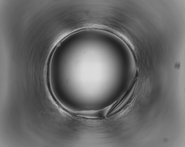 X0000096391007200801241257