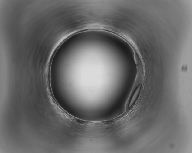X0000096391008200801241257