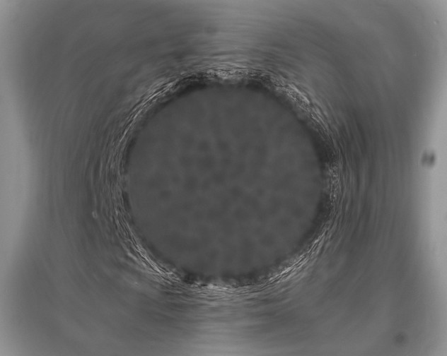 X0000096391009200801241256