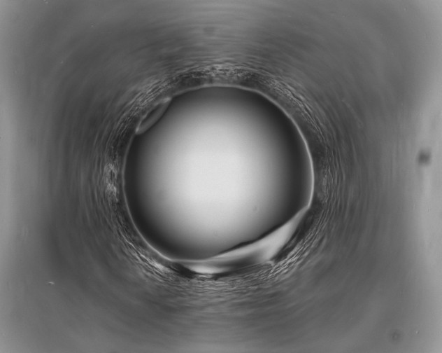 X0000096391010200801241256