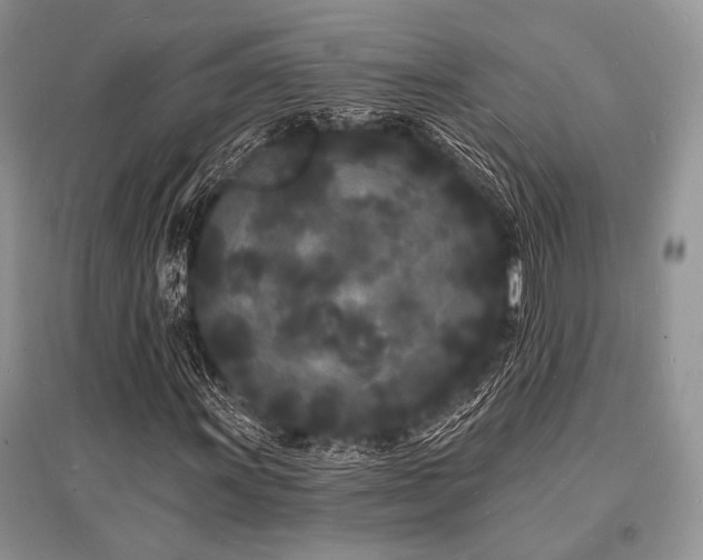 X0000096391011200801241256