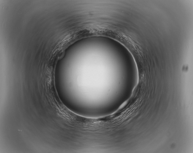 X0000096391012200801241256