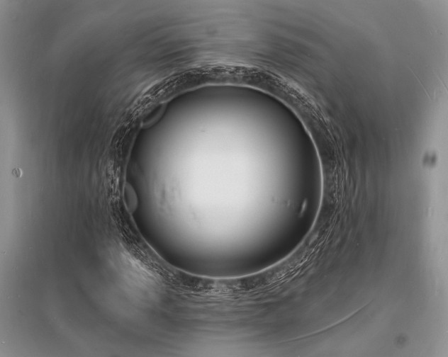 X0000096391013200801241256