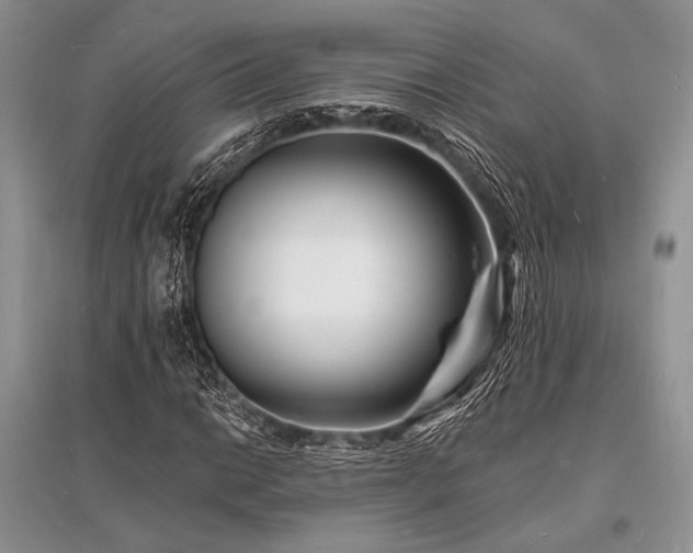 X0000096391014200801241256