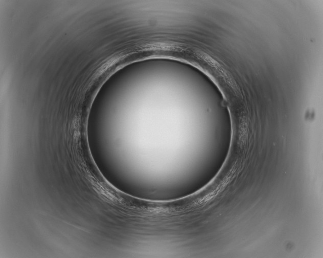X0000096391017200801241256
