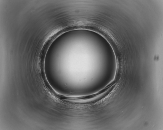 X0000096391018200801241256