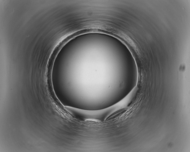 X0000096391020200801241257