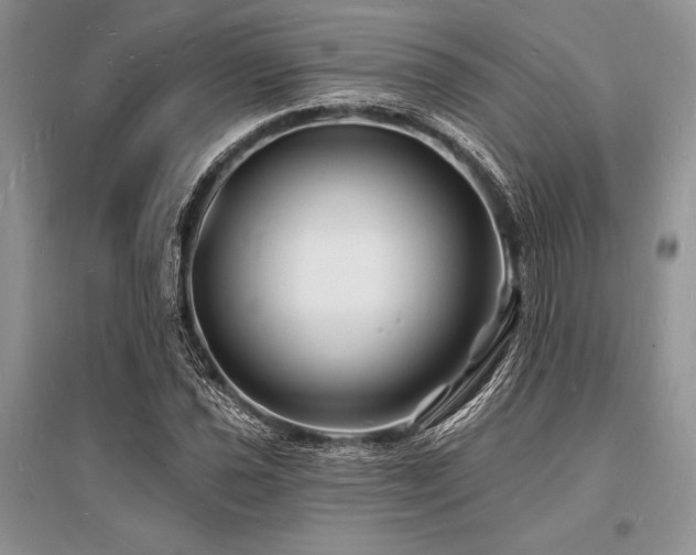 X0000096391021200801241257