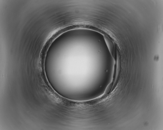 X0000096391022200801241257