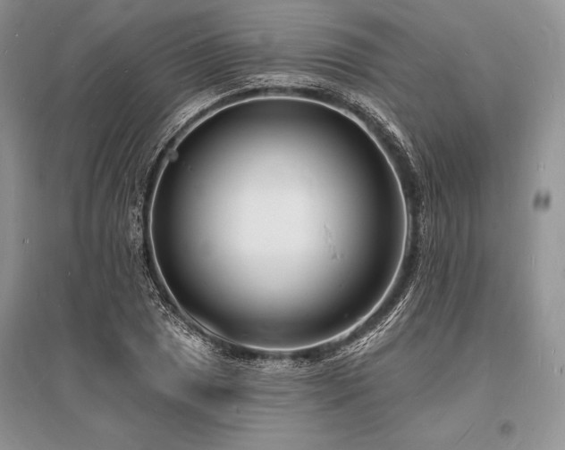 X0000096391025200801241257