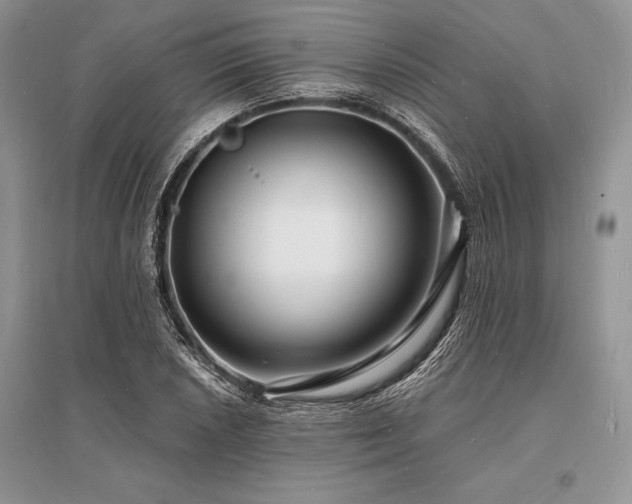 X0000096391026200801241257