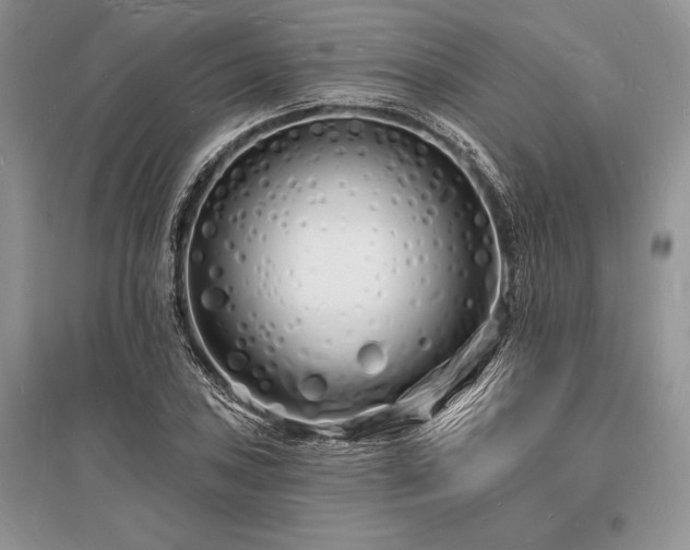 X0000096391027200801241257
