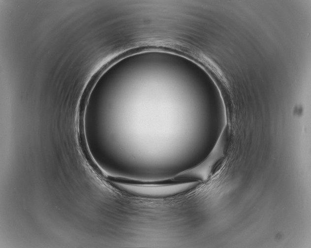 X0000096391028200801241257