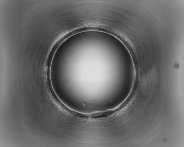 X0000096391029200801241257