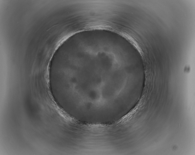 X0000096391031200801241257