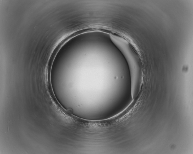 X0000096391032200801241257