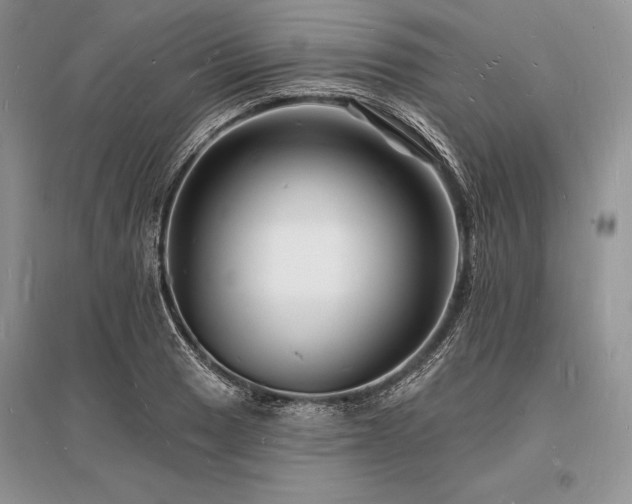 X0000096391033200801241257