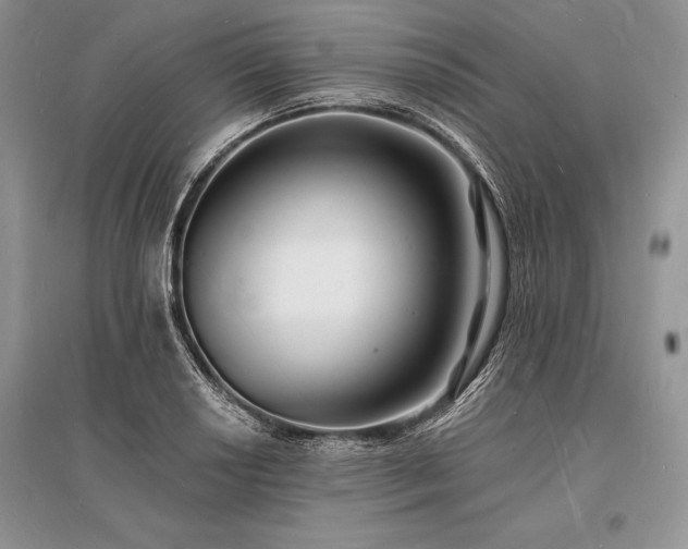 X0000096391034200801241257